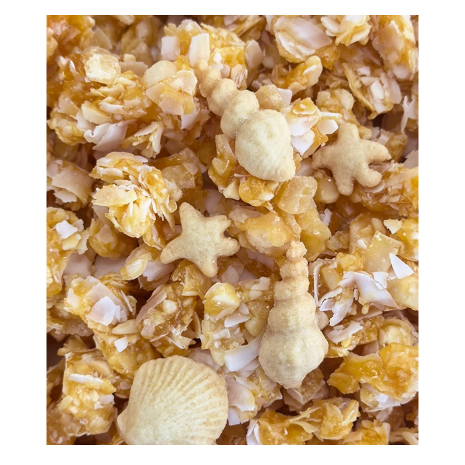 Beach Brittle Golden Pineapple