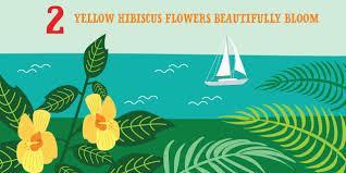 Let's Count Hawaii Keiki Board Book
