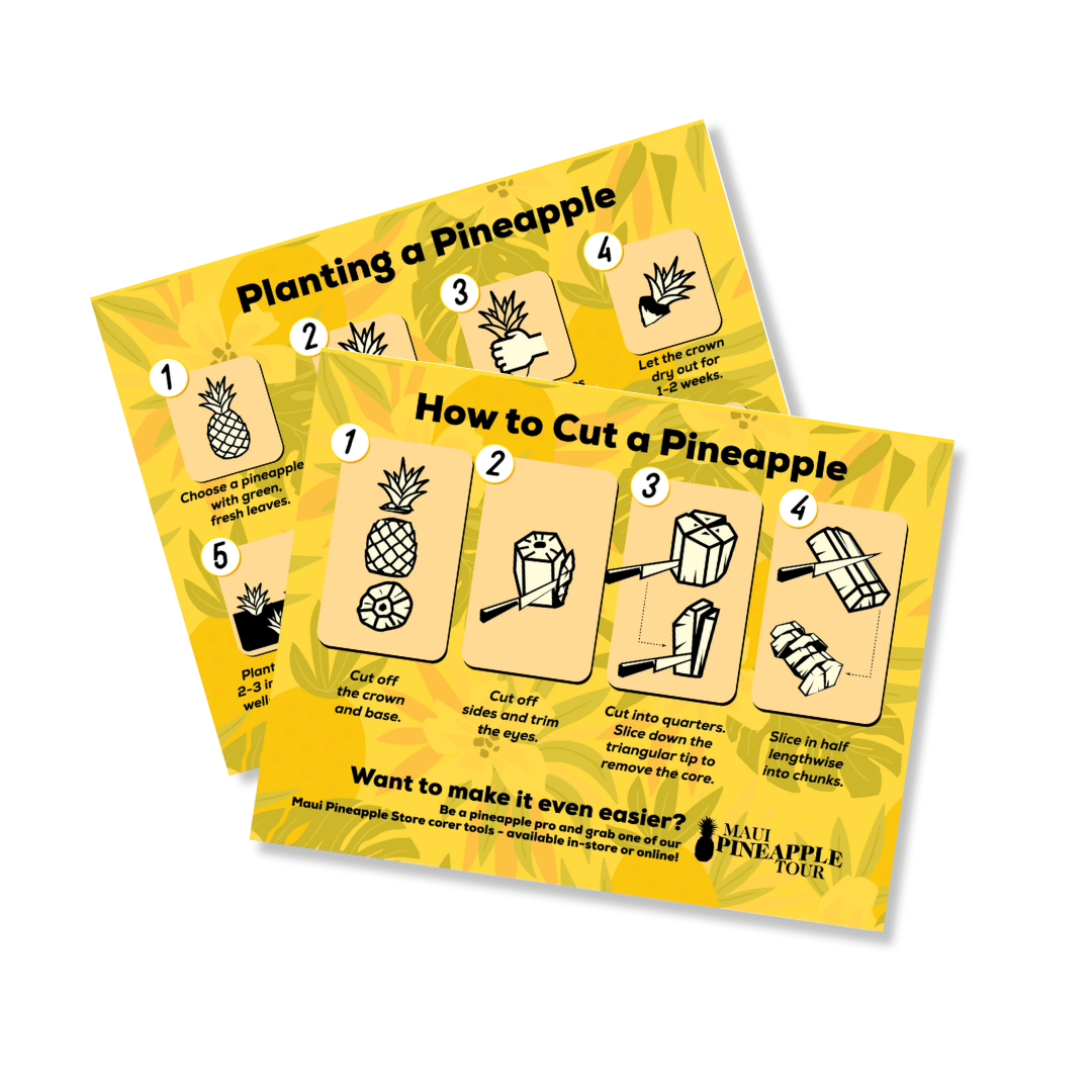 Pineapple Quick Guide