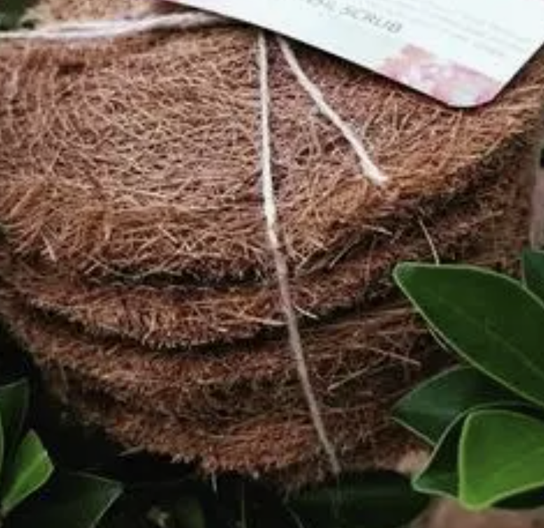 Coconut Coir Dish Pads