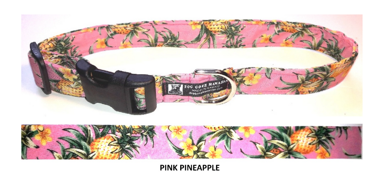 Dog Gone Pet Collars
