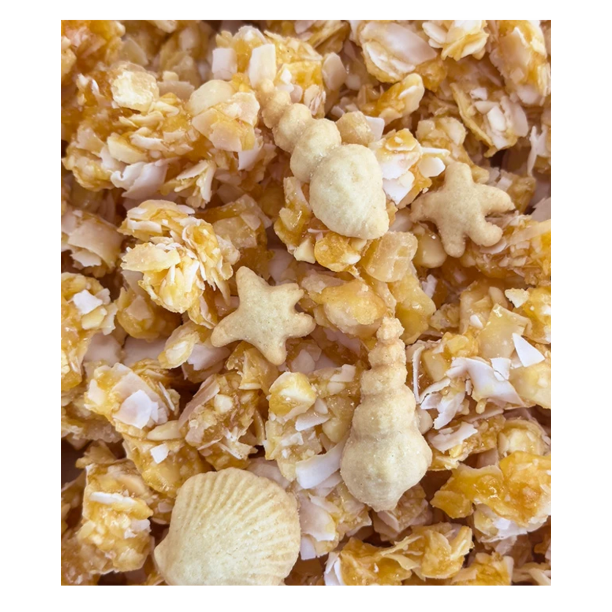 Beach Brittle Golden Pineapple