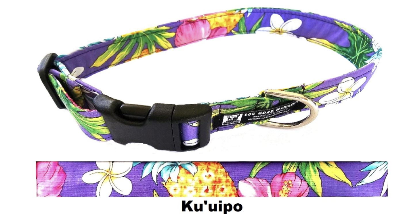 Dog Gone Hawaiian Pet Collars