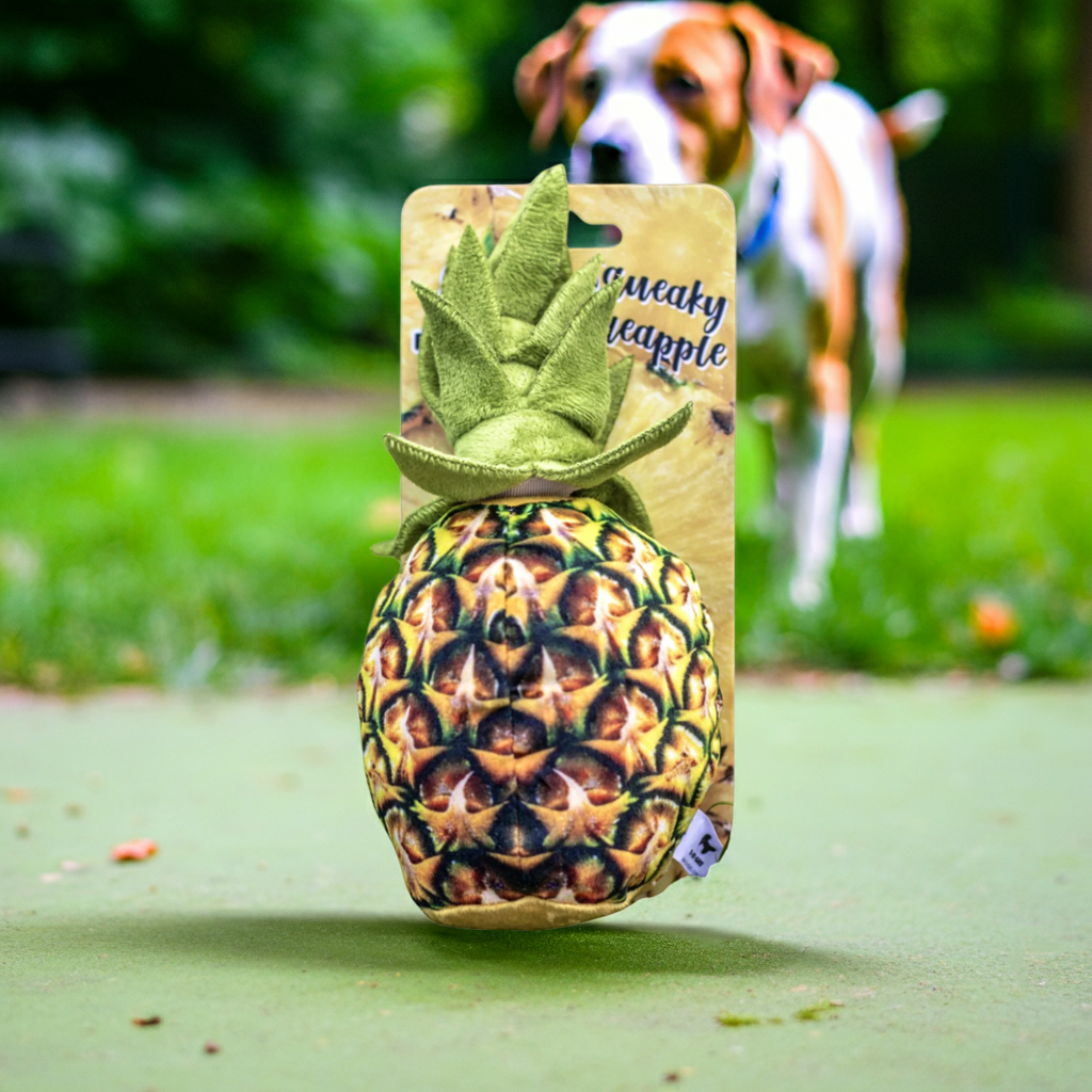 2-in-1 Squeaky Pineapple Dog Toy